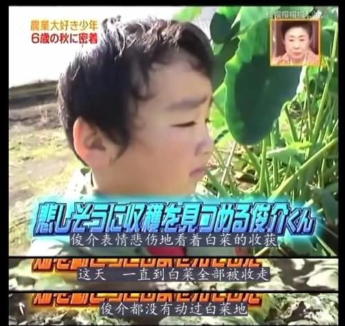  小男孩|这个梦想成为农民的小孩，给了我满满能量和感动，也让我思考教育的本质