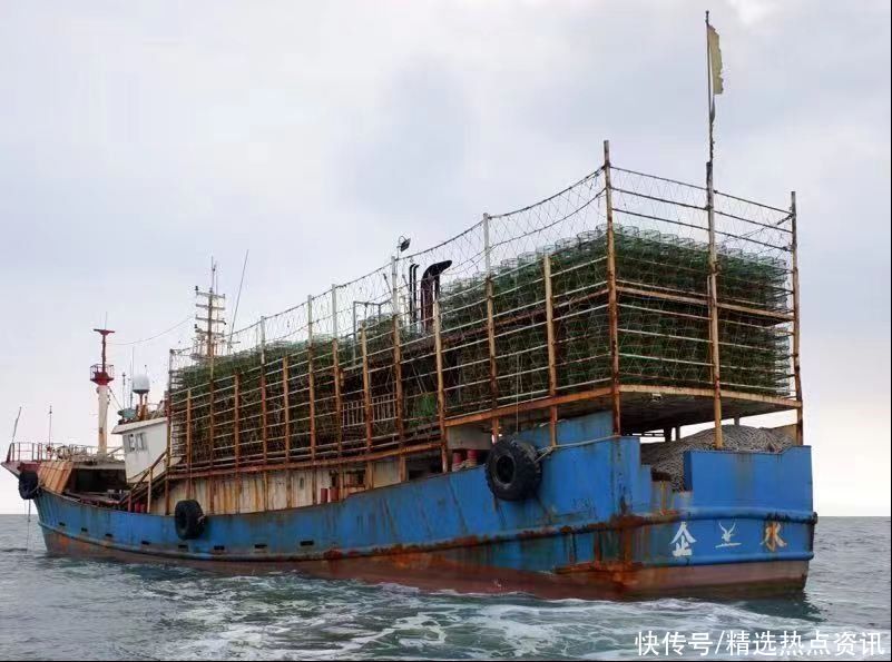 广东：海洋综合执法亮剑 查获违规渔船43艘