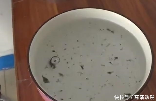 男子|男子买55箱苏打水，喝了之后出现腹痛腹泻，摇晃水一看直犯恶心