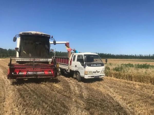  夏天|【津评乐】遇见夏天，醉美卜庄