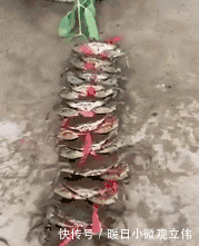 爆笑|爆笑GIF: 师傅, 你这个路绕的有点过分了啊