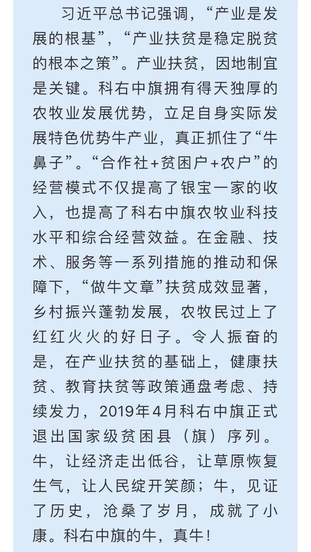 牛鼻子|抓住“牛鼻子”,过上好日子