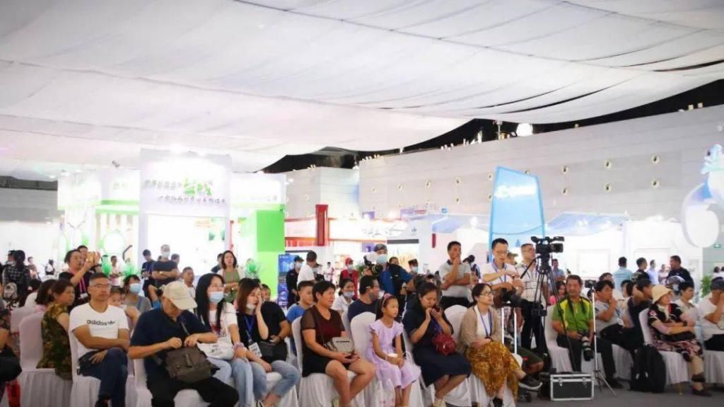  盐城|第二届大运河文化旅游博览会盐城文旅成聚焦点