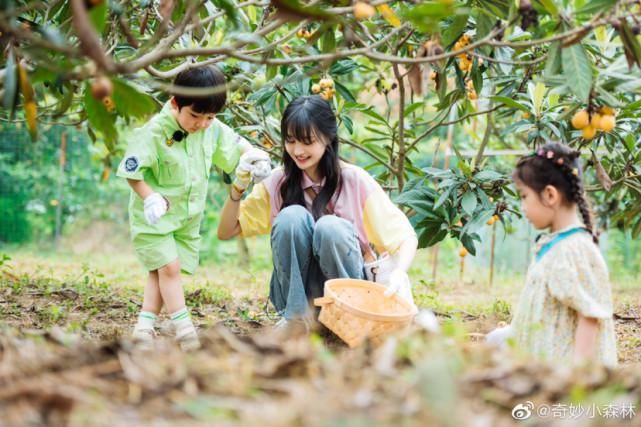  丁禹兮|王一博、郑爽、黄子韬、许魏洲、丁禹兮