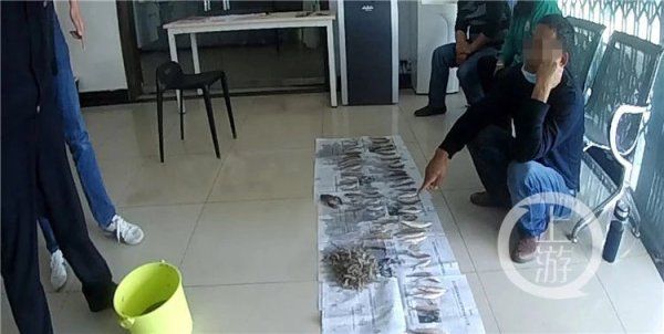 涉嫌非法捕|巴南警方破获一起非法捕捞水产品案 三名犯罪嫌疑人被判处拘役