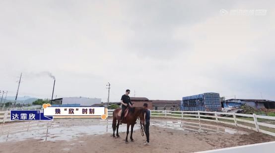  好看家族|《让生活好看》收官,生活焕“欣”官达霏欣分享明星独居生活看点