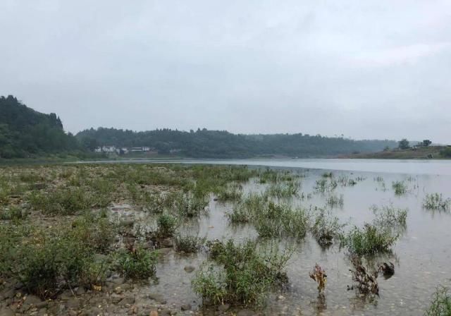  悲剧|母亲救子溺亡，这样的悲剧别再出现了