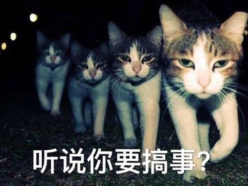  选手|因跟自己长得像，郭敬明就给选手晋级？《演员请就位》恐被玩坏了