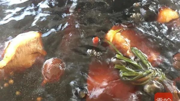  高蛋白|7月少吃猪肉多吃它, 高蛋白低脂肪, 尤其脾胃虚弱的人更要常吃