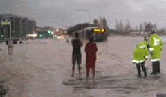 趣图|搞笑GIF趣图:没事我就出去溜溜,让这几个鸡仔羡慕嫉妒恨