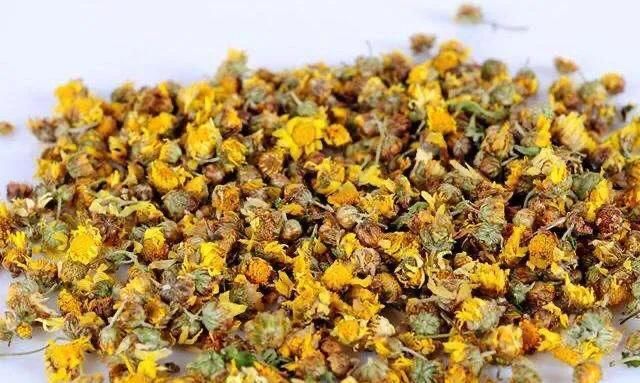 服用野菊花|野菊花有什么功效？