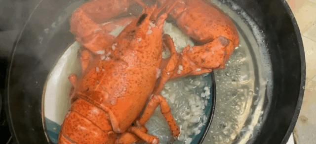 沉重|明日之后：价值300万金条，比喷气背包还贵重的神秘料理？