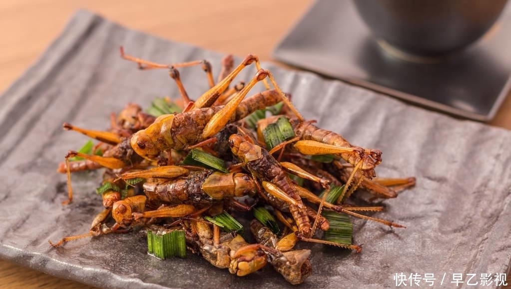  不吃|古代闹蝗灾，灾民为何不吃蝗虫充饥？灾民：我们不敢吃，也吃不起
