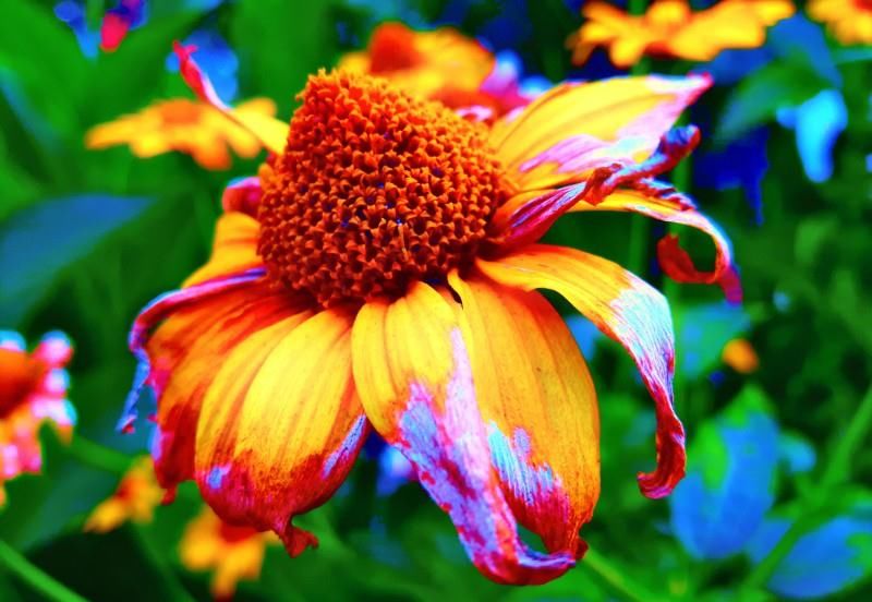  求财|9月第一周，事业风生水起，运势翻倍涨，求财得财的四大生肖