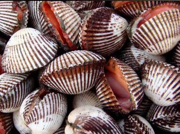 今日|今日开海!这84种海鲜,你都认识吗?你真的会吃海鲜吗?