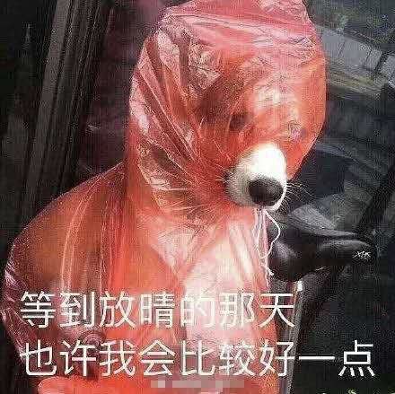 个位数|湖南人注意：秋裤预警来了！最低气温将跌至个位数