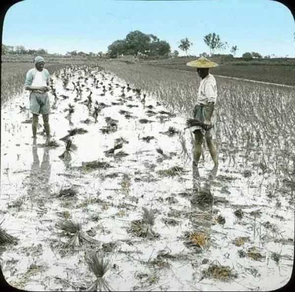 彩色照片|晚清非常珍贵的彩色照片，一个不一样的清朝……