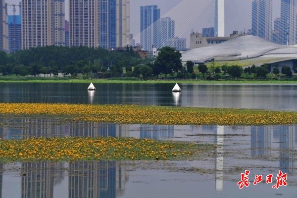 甘霖绵绵下，气温悄悄升