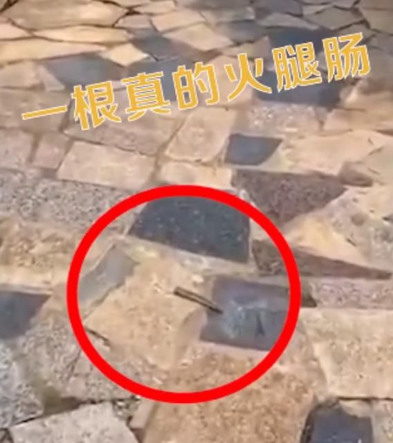  监控|5只宠物狗在小区被毒死，物业：监控刚好全坏了，不知道是谁投毒