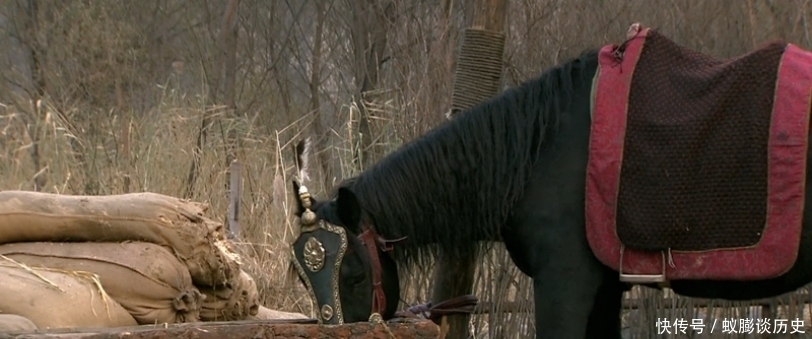 换来|汉武帝用数万将士性命换来两个大省,如今看来,其眼光着实英明!