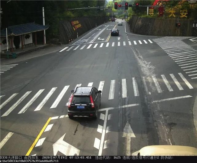 驾驶机动车违反道路|泰顺这些车主被曝光！