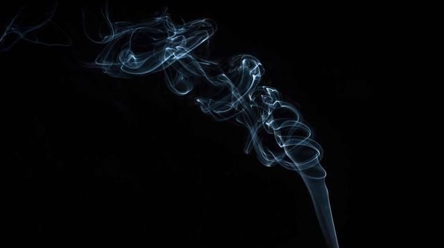  a6462|埋头工作，不问世事的两个星座男生