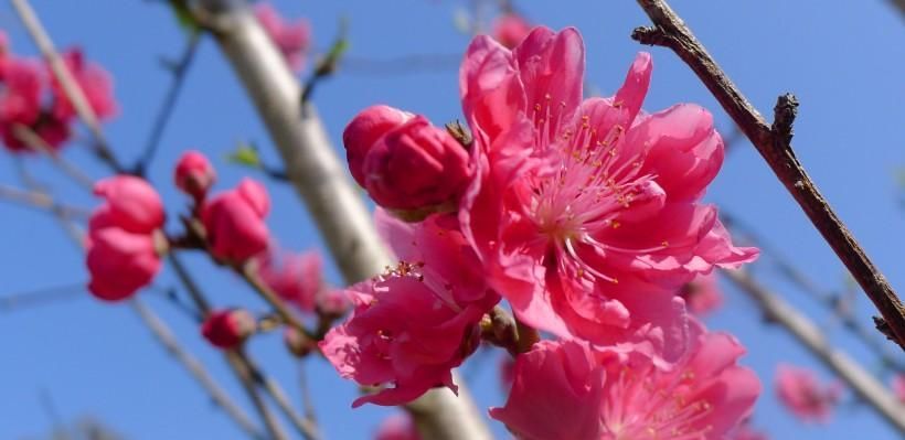  财神|财神不放假! 3生肖最近半年财运大旺, 发横财红票子滚滚来!