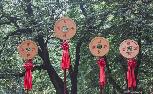  带走多少|无限量捞鱼还能免费全带走！这个暑假太行山自驾游，带娃去虎山