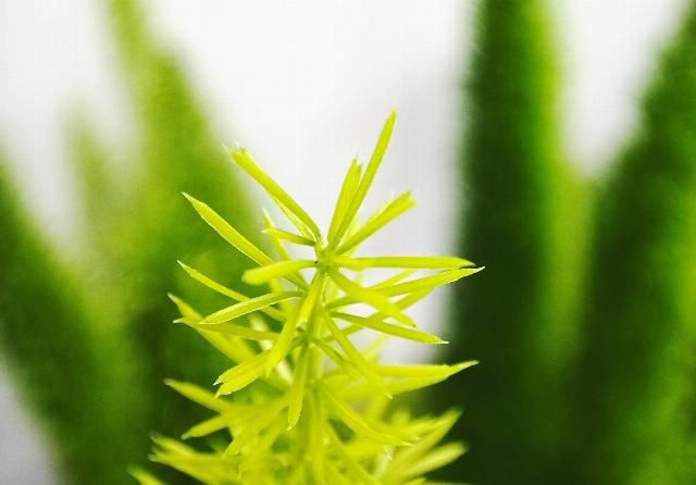 小米手机|Redmi K30 至尊版体验:既是「至尊」,又如何做到低价?