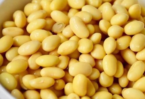  黄豆|家庭版自制豆腐做法，不用卤水石膏操作简单，1碗黄豆够吃2天