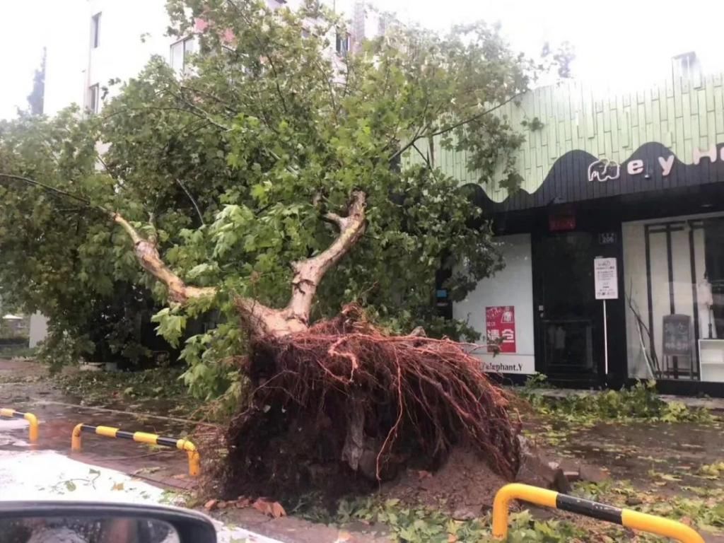 登陆|今天，台州这个地方出现17级大风，温岭这群人开始行动！