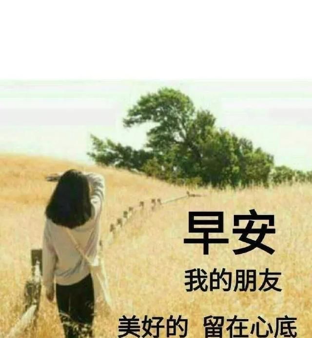  人生|多一份平和，多一点温暖，生活才有阳光，早安