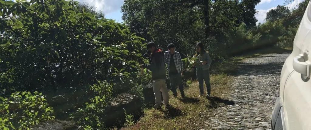  鼻涕|掠食者日志 | 560_可以吸的鼻涕果