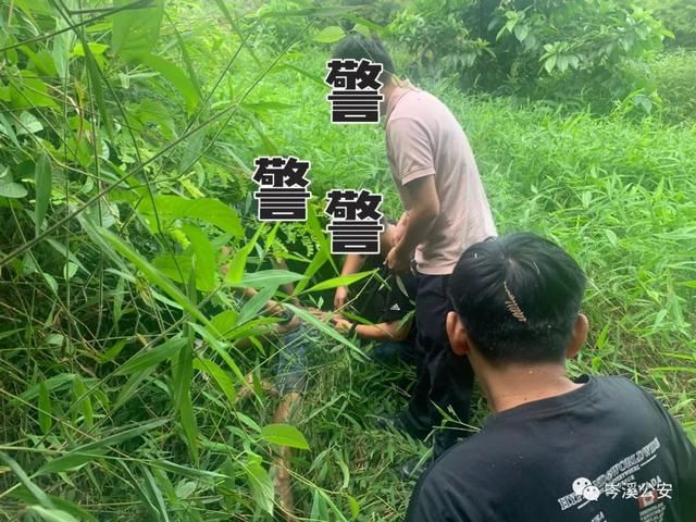 抓捕队员|场面惊险!广西缉毒警与毒贩同时跌落10米陡坡,身体多处受伤仍不放弃抓捕