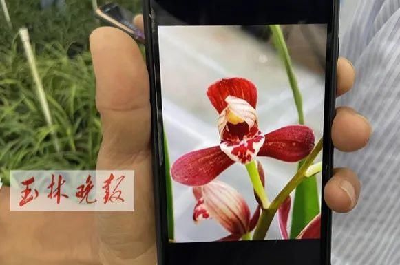 仁东镇鹏垌|令人骄傲！玉林这些地方的变化真大