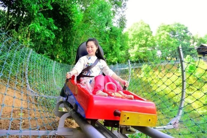 普洱|一天一点普洱穿行千年茶马古道,尽览五朝普洱风云