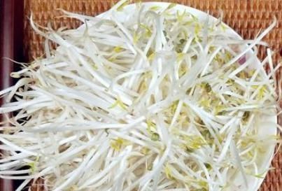  香脆|炒豆芽时，直接炒就“废”了，多加一步，豆芽香脆，不出水