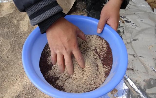  病害|想要温室大棚的秋葵获得高产，2种常见病害的防治是关键