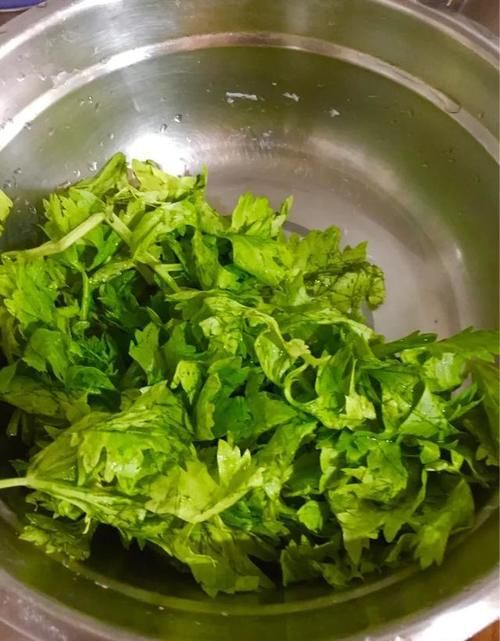 芹菜|为什么芹菜鲜肉饺子的馅黏不起来?