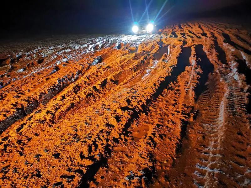  深圳|可可西里的守护者！深圳男子用镜头记录荒原上的藏羚羊