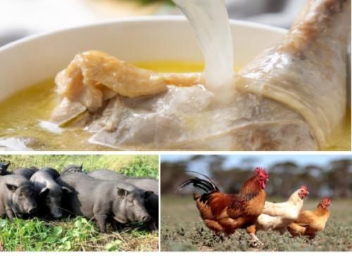 云魁|云魁过桥米线精选源头好食材,造就健康好味道