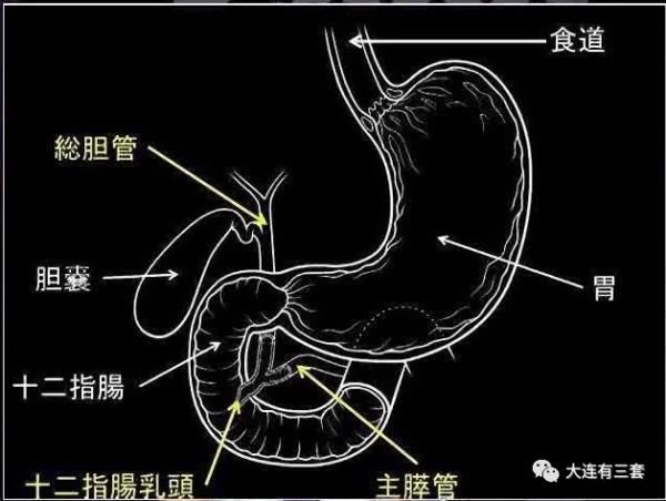  车祸|大连一女子遇车祸，医生检查后都惊了...