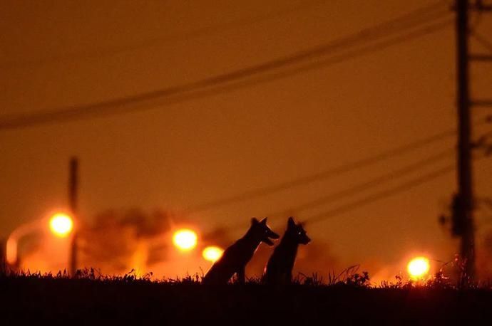  赛级|赛级摄影作品讲述的也不过是不同的生活罢了