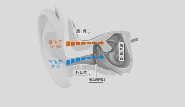  OpenMove|骨传导如何听？韶音 AS660 OpenMove 体验分享