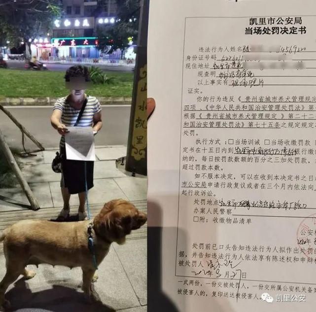 湾溪派出|曝光！凯里这些人的不文明行为