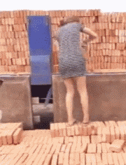 搞笑|搞笑GIF:可怜的泰迪,好像很容易成为大狗的目标