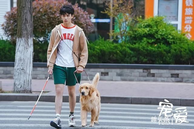  疯狂|从瞎子到瘸子，吴磊再演残障人士，在《穿越火线》疯狂输出毒鸡汤