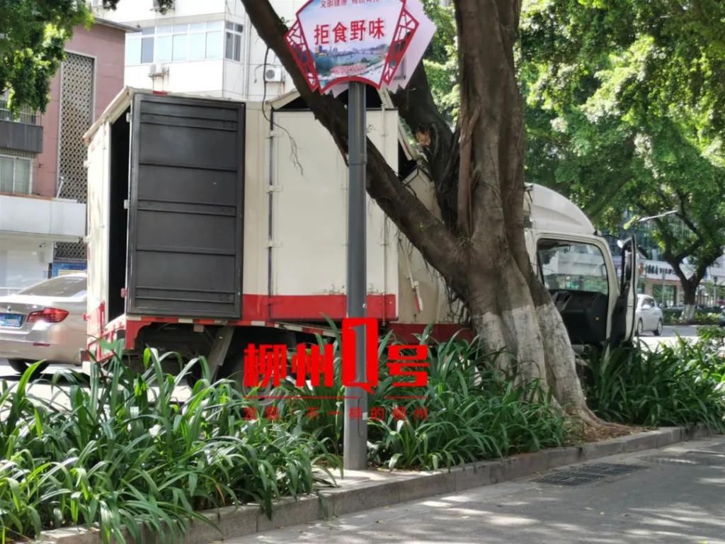  货车|八一路厢式货车撞对树后骑上花圃，车身：我裂开了！