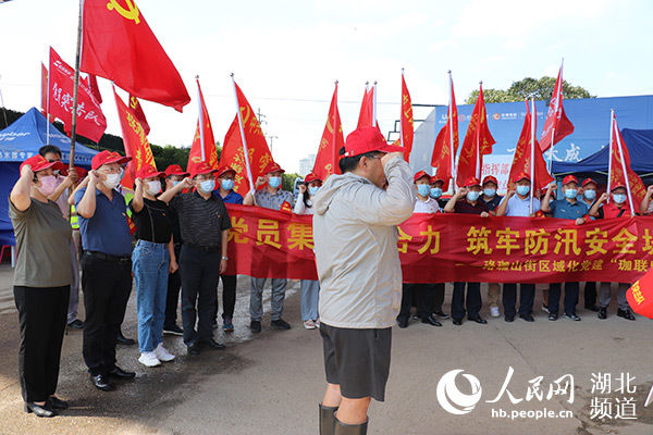 武昌区|武昌区珞珈山街区域化党建“珈联盟”将支部建在长江干堤上