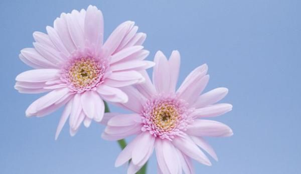 时来运转|能时来运转的人,都具备3个征兆,有其中一个就能财运发达